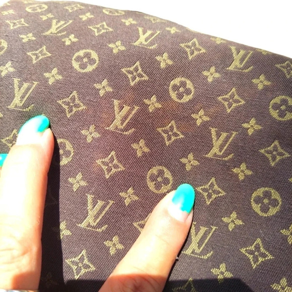 Louis Vuitton Mini Lin Speedy 30 - Picture 11 of 14